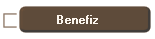 Benefiz