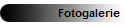 Fotogalerie